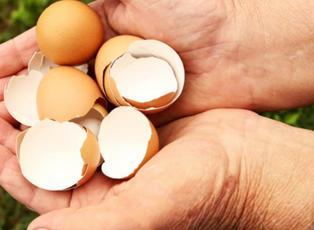 Yumurta kabuğu t&uuml;ketimi trend oldu! Uzmanlar &ouml;nemli uyarılarda bulundu