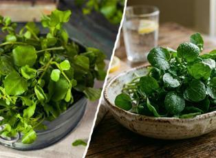 D&uuml;nyanın en sağlıklı yeşilliği belli oldu!