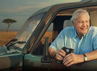 Gezegenin g&ouml;rd&uuml;ğ&uuml; en b&uuml;y&uuml;k doğa el&ccedil;isi: David Attenborough 100 yaşında!