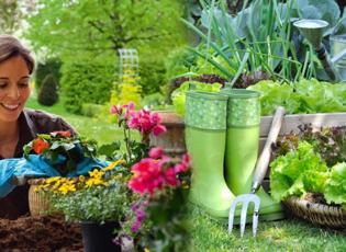 Bahçe temizliği nasıl yapılır? Bahçe temizliği ve düzeni için öneriler