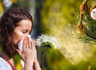 Polen alerjisi nedir ve nasıl anlaşılır? Polen alerjisine ne iyi gelir?