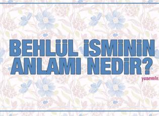 Behlül isminin anlamı! Behlül Arapça mı? Behlül Kuran'da geçiyor mu?