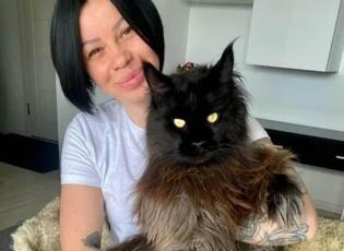 49 milyon kişi gözlerine inanamadı! Sosyal medyada viral olan kedi görenleri hayrete düşürdü