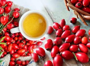 Limondan 60 kat daha güçlü: Kuşburnu kalbi bağışıklığı ve sindirimi zırh gibi koruyor!