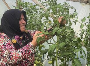 Giresunlu Melek Önal'ın ilham veren hikayesi: "Kendi işimin patronu oldum"