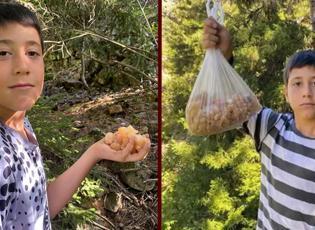 'Maden buldum' diyerek paylaştı: Ormandan topluyor kilosunu 5 bin liradan satıyor!