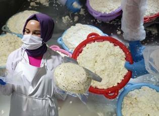 Sındırgı’da kadın emeğiyle doğal üretim: “50 Peynirli Şehrim” 