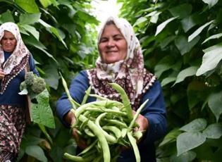 Bilecikli kadın girişimci Hanımşah İkiz&rsquo;ten &ouml;rnek başarı: 14 &ccedil;eşit sebze yetiştiriyor!