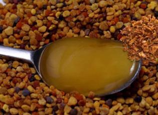 Bağışıklığı uçuran mucize: Arıların altın değeri propolisi kilosu 1000 liradan satılıyor