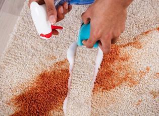 Halıların &uuml;zerinde lekeleri saniyeler i&ccedil;inde yok eden y&ouml;ntem!