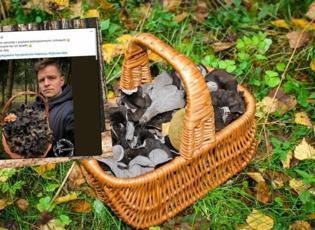 Polonyalı uzmandan şaşırtan keşif: “Bereket boynuzu” mantarını buldu!