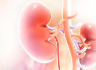 B&ouml;brek hastalarında beslenmede tek &ccedil;&ouml;z&uuml;m: Parmak izi gibi kişiye &ouml;zel diyet