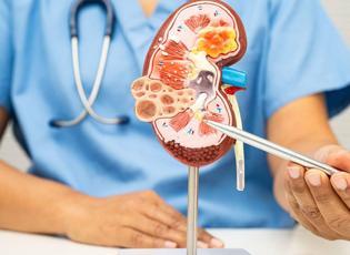 12 Mart D&uuml;nya B&ouml;brek G&uuml;n&uuml;&rsquo;nde uzmandan alarm: &Ccedil;ocuklarda b&ouml;brek hastalığının ilk sinyali ateş