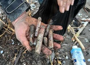 Ege&rsquo;nin gizli hazinesi! Japonların radarına girdi sofraların baş tacı oldu