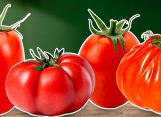 TasteAtlas, d&uuml;nyanın en iyi domateslerini a&ccedil;ıkladı! T&uuml;rkiye yine farkını ortaya koydu