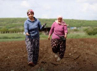 Tarladan &uuml;retime destek: Kırklareli'de kadınlar sabahın ilk ışıklarıyla harekete ge&ccedil;ti!