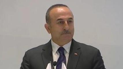 Eski Bakan &Ccedil;avuşoğlu&rsquo;nun Fransız vekile yıllar &ouml;nceki tarihi ayarı: "Ger&ccedil;ekleri duymaya alışacaksınız"