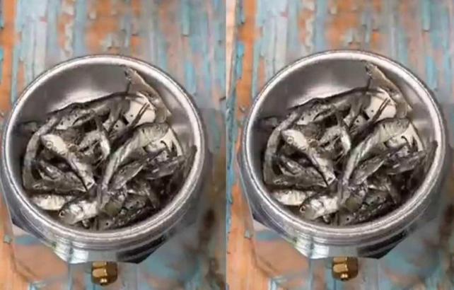 Karadeniz&rsquo;de sıra dışı lezzet krizi: Hamsili kahve&rdquo; denediler, soluğu hastanede aldılar!