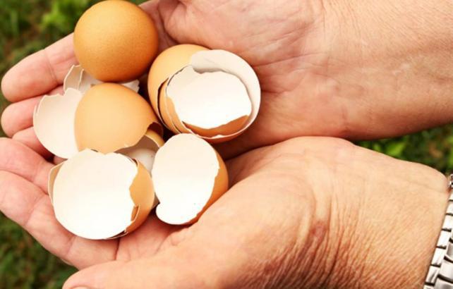 Yumurta kabuğu t&uuml;ketimi trend oldu! Uzmanlar &ouml;nemli uyarılarda bulundu