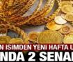 Altın ve g&uuml;m&uuml;şte kritik senaryo: Uzman isimden yeni hafta uyarısı
