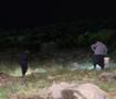 Gece yarısı fenerini alan dağa koşuyor! Toplaması izne tabi, kilogramı 35 lira...
