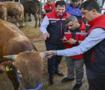 Kurban Bayramı &ouml;ncesi 4 milyonu aşkın hayvan denetlendi