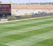 Milli Takım neden Arizona'da kamp yaptı? TFF'den resmi a&ccedil;ıklama geldi