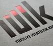 T&Uuml;İK a&ccedil;ıkladı: En &ccedil;ok kazandıran yatırım aracı belli oldu!