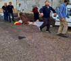 Bursa'da katliam gibi kaza: 3 vatandaş &ouml;ld&uuml;, yaralılar var!
