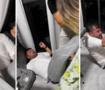 Taciz skandalı sonrası CHP Milletvekili Ahmet Baran Yazgan hakkında soruşturma başlatıldı!