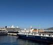 Bodrum'a 3 gemi birden geldi