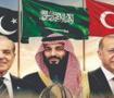 Yeni Delhi'de panik havası! T&uuml;rkiye'nin Pakistan hamlesinden korktular