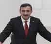 Cumhurbaşkanı Yardımcısı, fon tasfiyesi i&ccedil;in tarih verdi: Hazine kaynağı kullanılmayacak