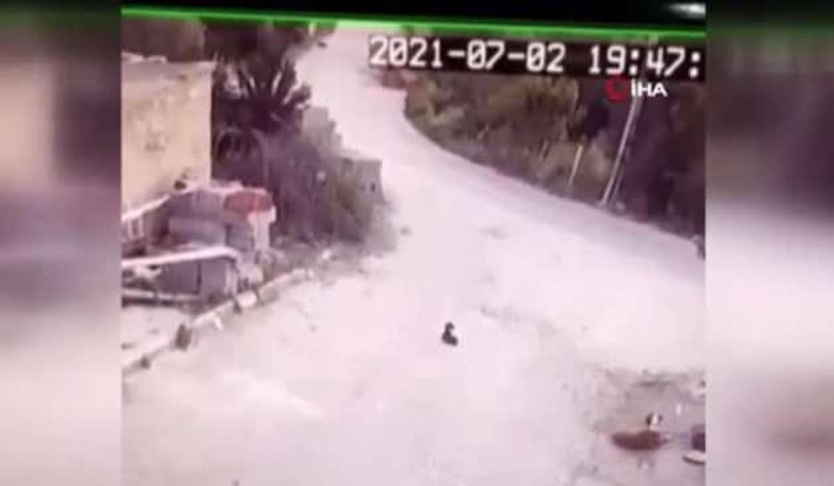 goz gore gore yavru kopegi ezdi video 7