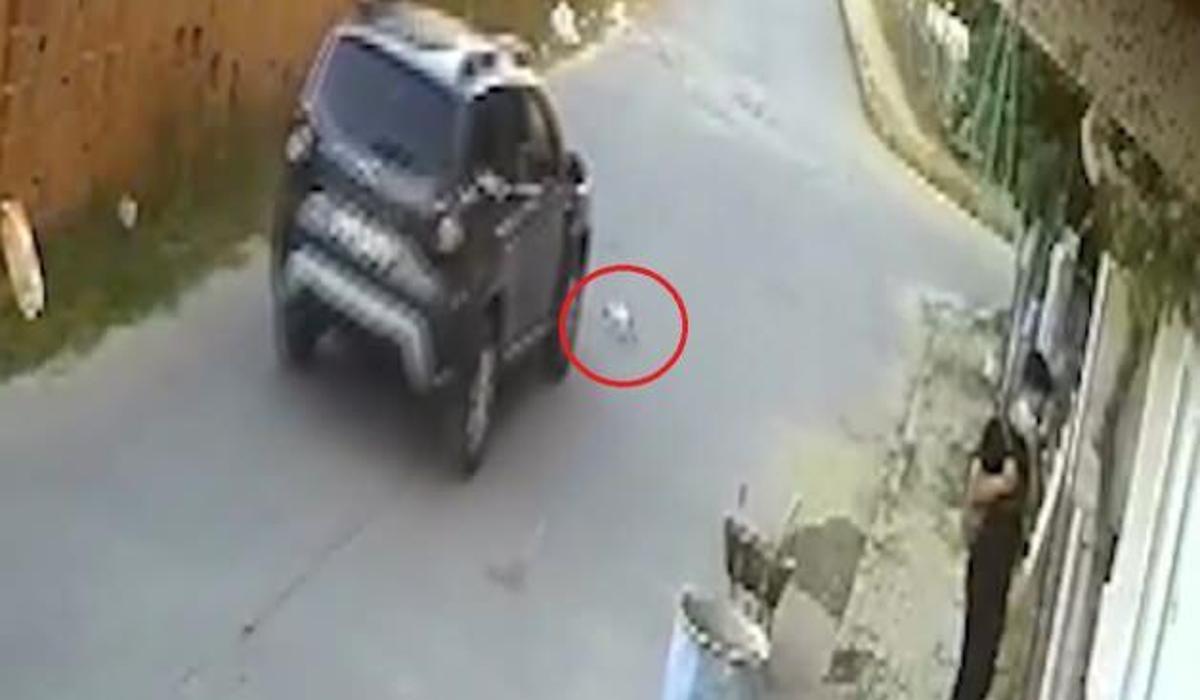 kediyi ezdi arkasina bile bakmadi video 7