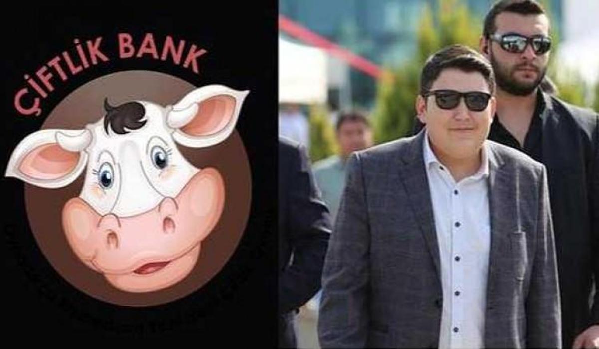 Ciftlik Bank Patronu Mehmet Aydin Kimdir Nereli Ve Gercek Yasi Kactir Guncel Haberleri