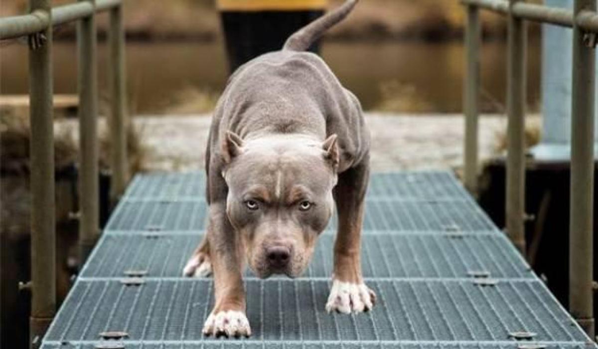 tam 15 bin 604 lira ceza uygulandi guncel haberleri