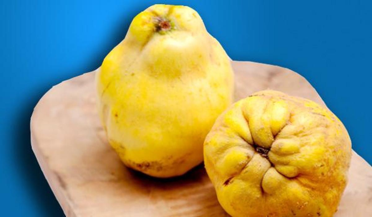 ayvanin faydalari neler ayvanin icinde hangi vitaminler var saglik haberleri