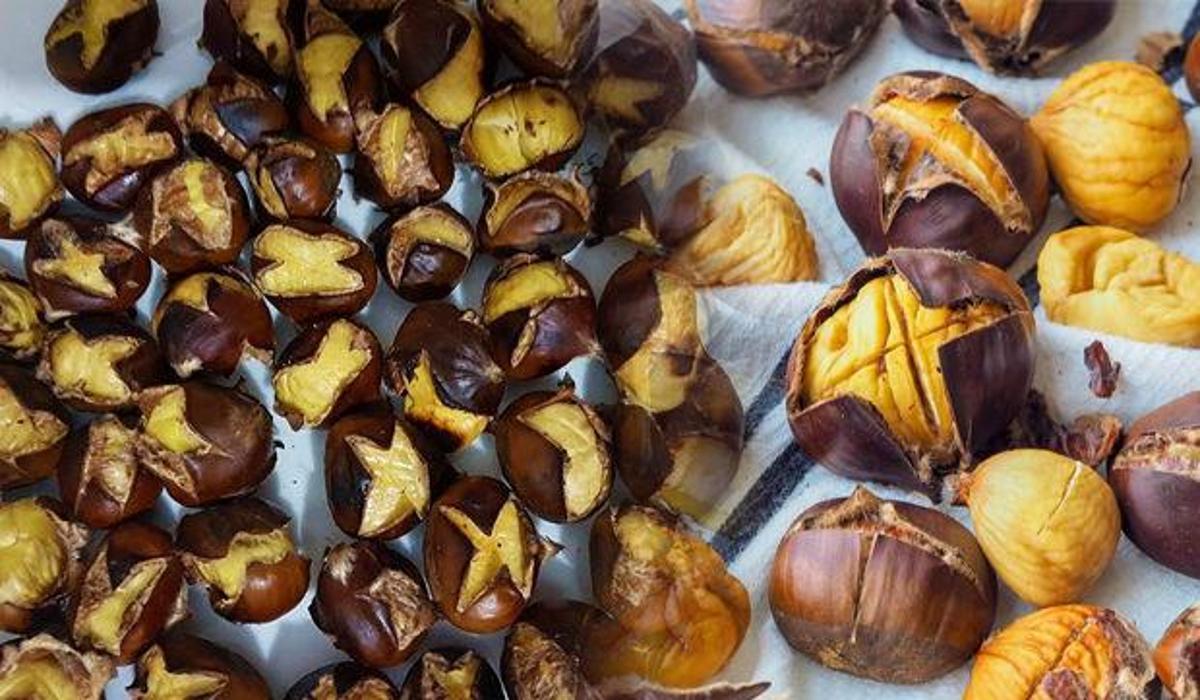 kestanenin faydalari nelerdir kestanenin besin degeri ve kalorisi saglik haberleri