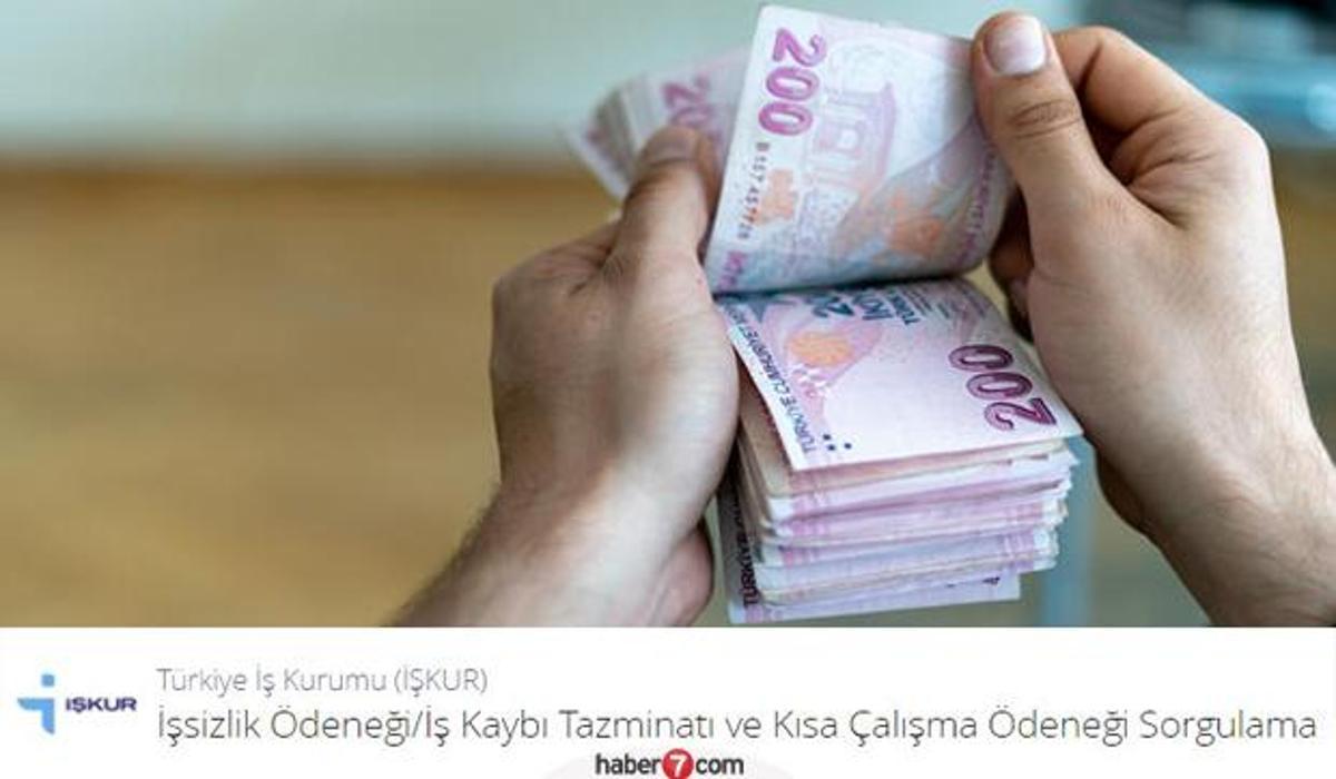 https www haber7 com guncel haber 2997689 kisa calisma odenegi hesaplara yatti mi kisa calisma odenegi sorgulama