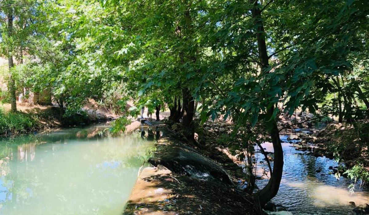 savur yesilsu doga guzelligiyle ziyaretcilerini bekliyor seyahat haberleri