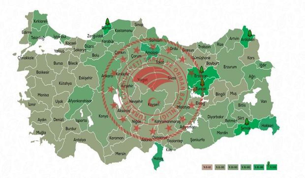 gelecege nefes ol kampanyasi basvuru yapma gelecege nefes ol katilim belgesi nasil alinir guncel haberleri