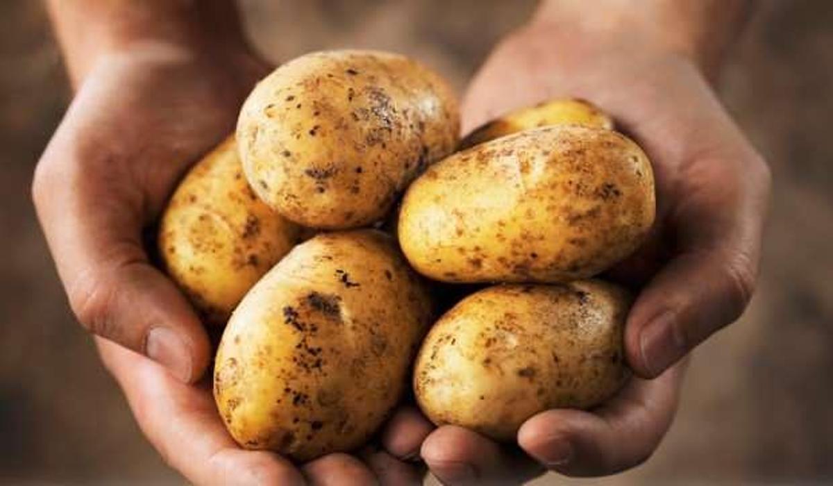 goz agrisina patates iyi gelir mi gozun uzerine patates koymak saglik haberleri