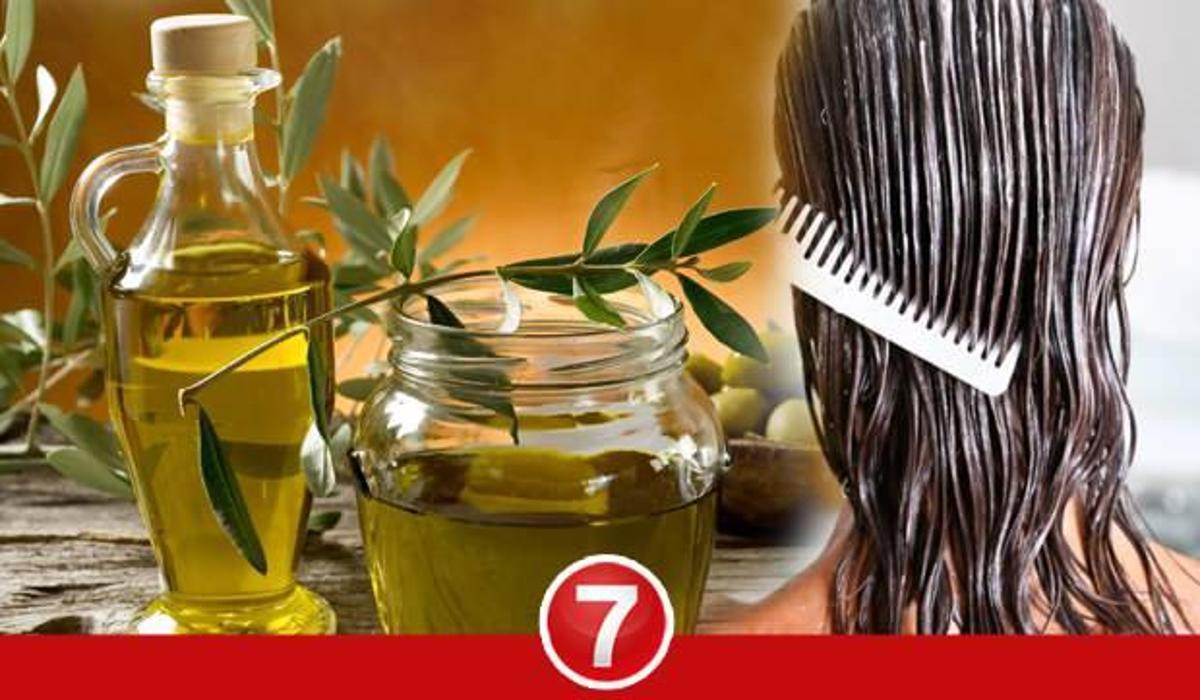 zeytinyagi maskesi saci gurlestirir mi saca zeytinyagi surmek ne ise yarar saglik haberleri