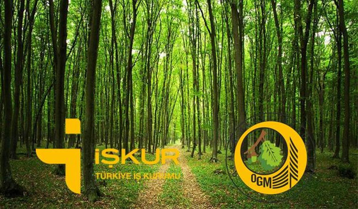 Iskur Dan Orman Genel Mudurlugune 2083 Isci Alimi Ogm Basvuru Sartlari Neler Memur Haberleri