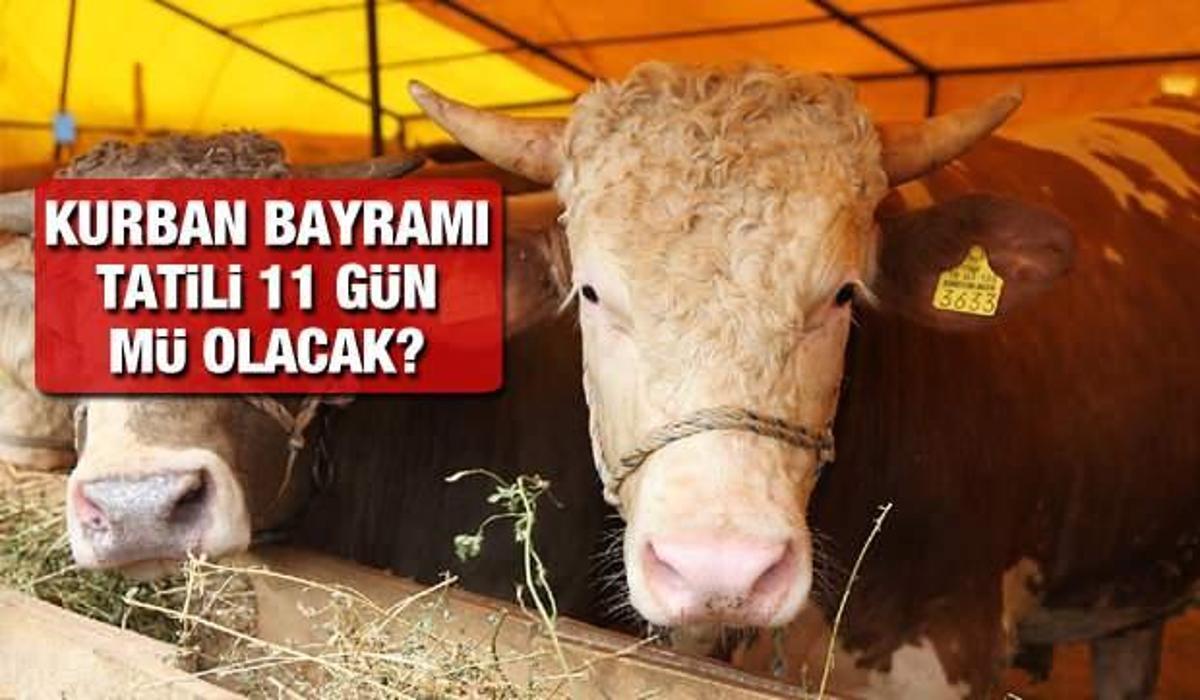 2021 Kurban Bayrami 11 Gun Tatil Olacak Mi Kurban Bayrami Ne Zaman Temmuz Un Kacinda Guncel Haberleri