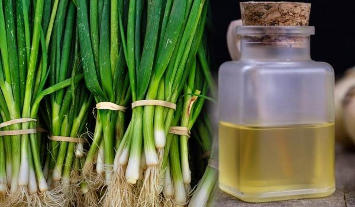 yesil_soganin_faydalari_nedir_yesil_sogan_suyunu_ne_ise_yarar_1626100717_0716.jpg