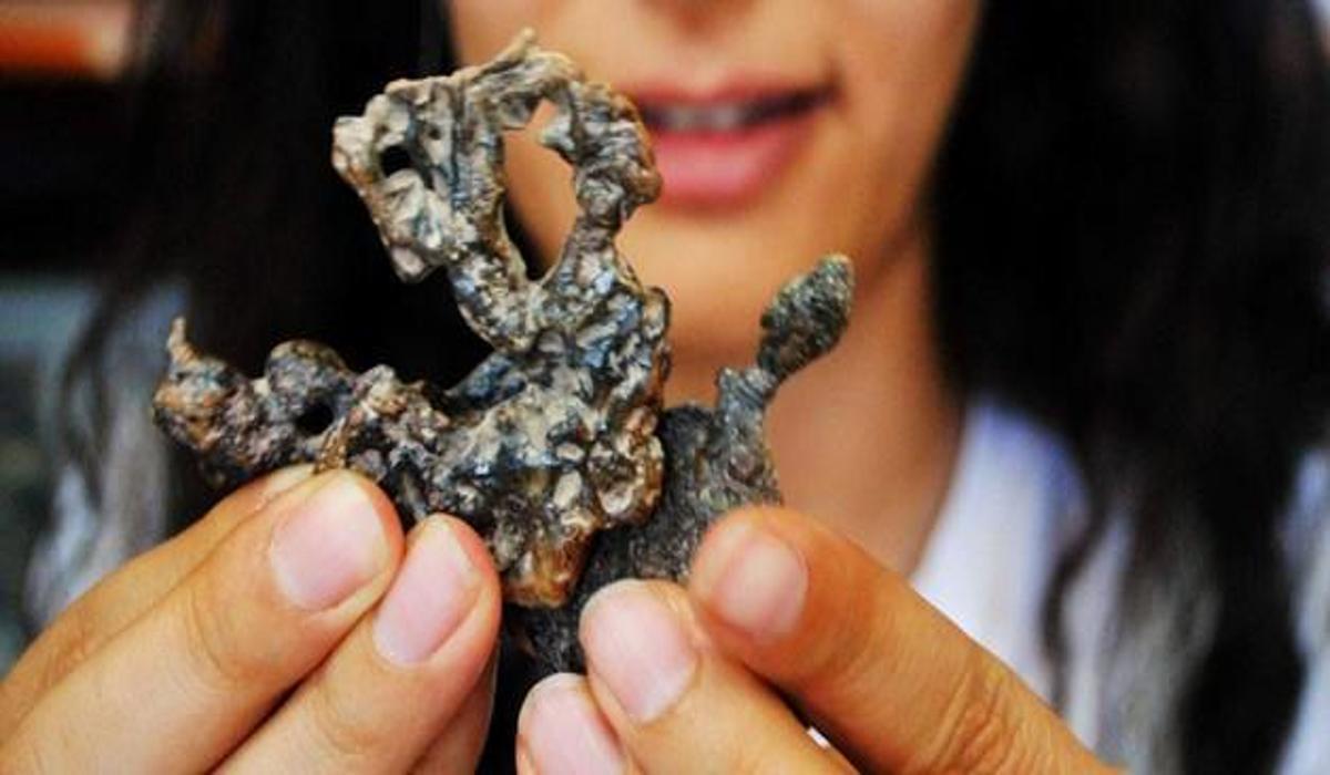 anadolu da suya dokulmus ilk kursun bulundu arkeoloji haberleri