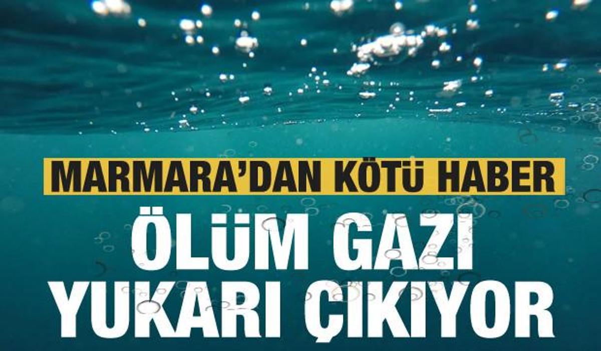 marmara dan korkutan haber olum gazi yukari cikiyor guncel haberleri
