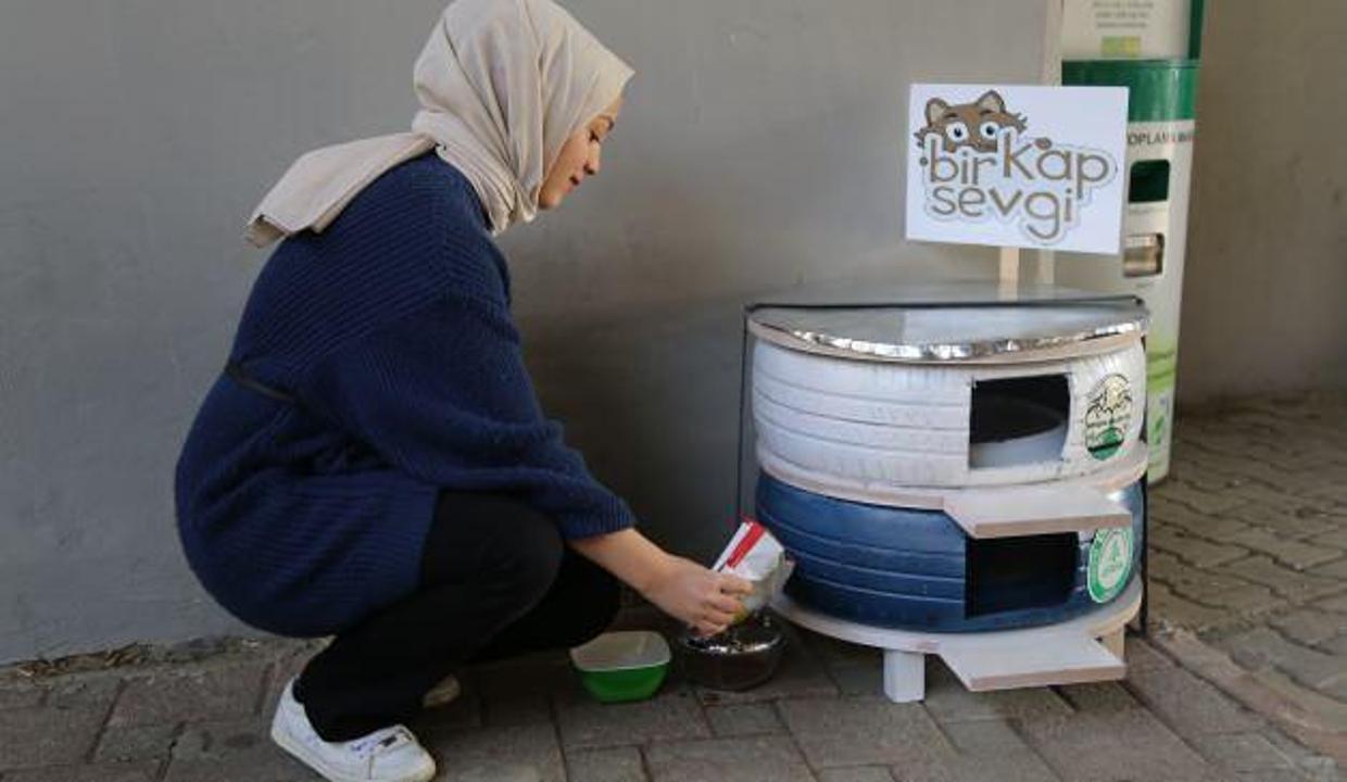 universite ogrencileri hurda lastiklerden kedilere yuva yapti video 7